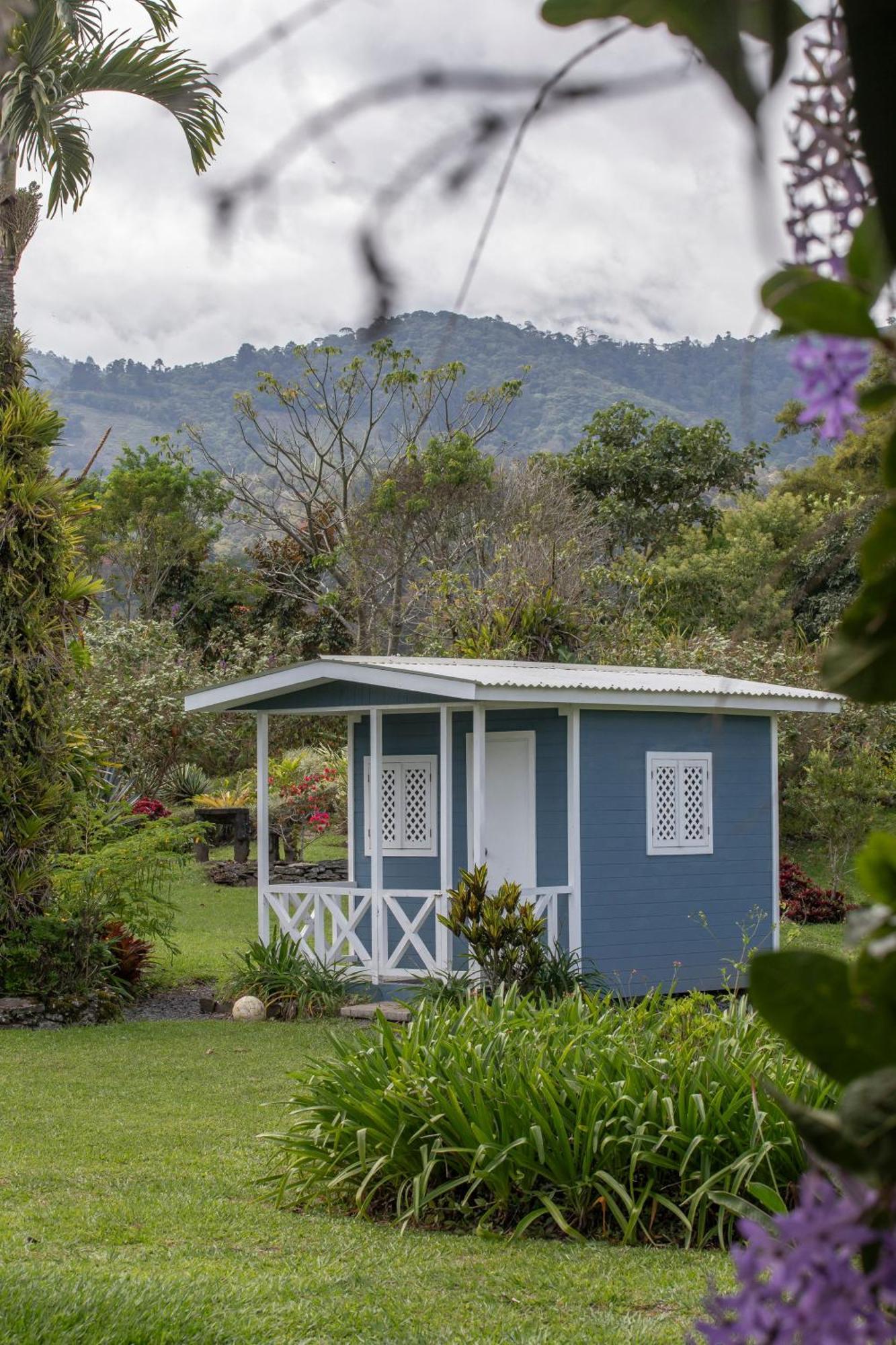 Bed and Breakfast Aquiares Coffee Farm Casa Hacienda La Esperanza Турріальба Екстер'єр фото
