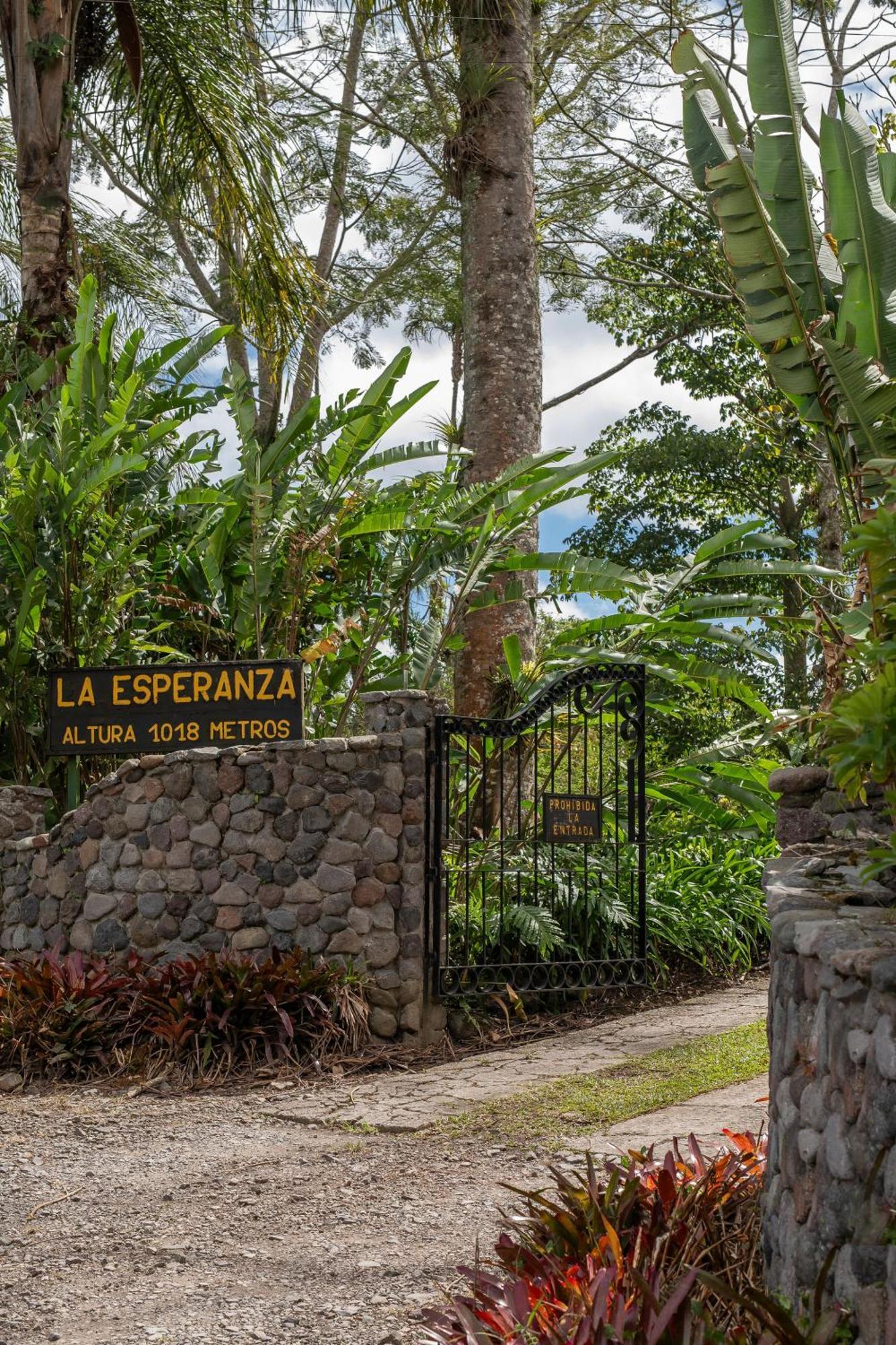 Bed and Breakfast Aquiares Coffee Farm Casa Hacienda La Esperanza Турріальба Екстер'єр фото