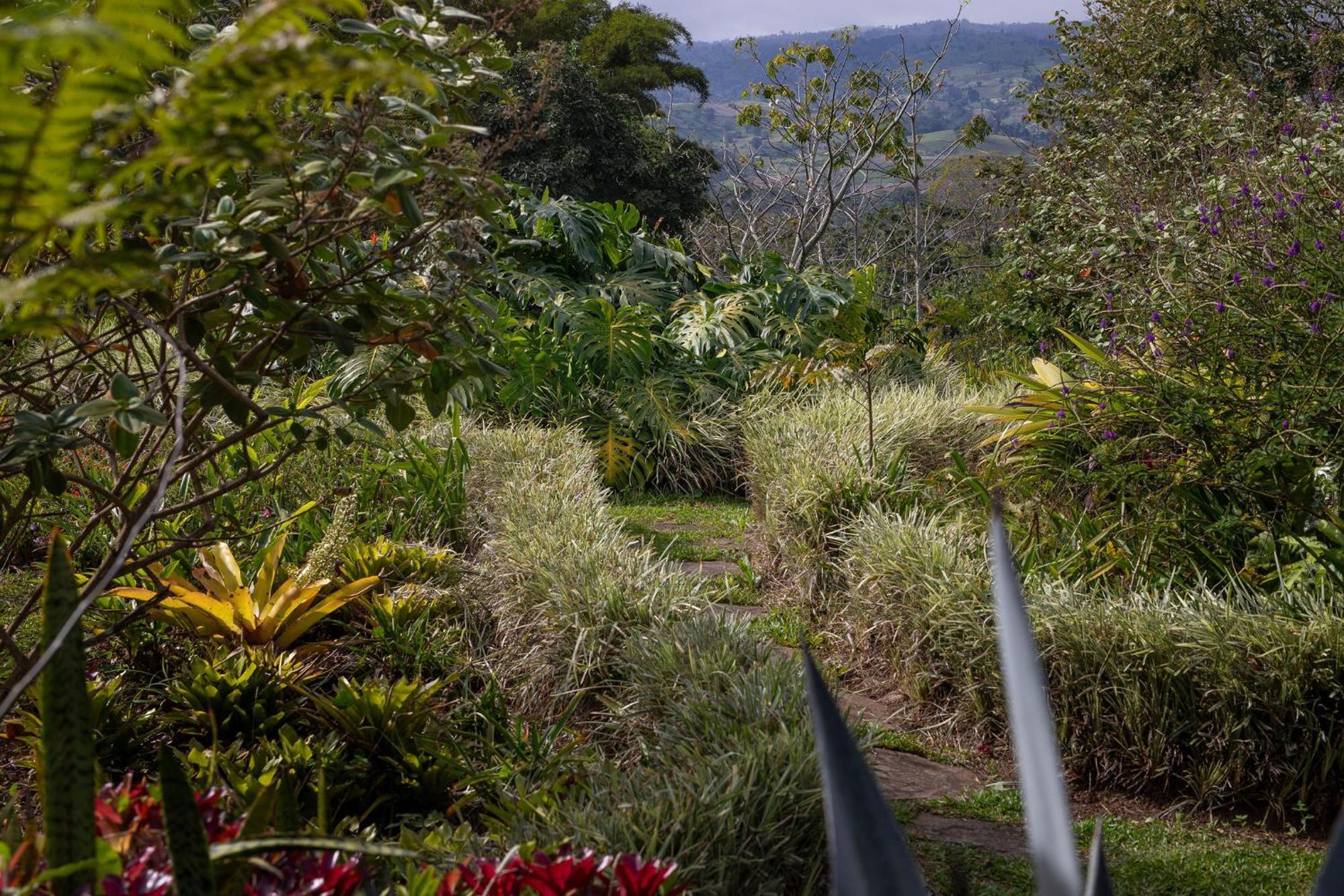 Bed and Breakfast Aquiares Coffee Farm Casa Hacienda La Esperanza Турріальба Екстер'єр фото