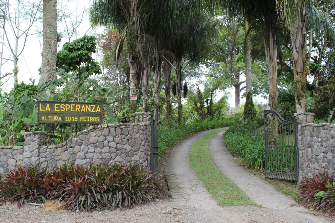 Bed and Breakfast Aquiares Coffee Farm Casa Hacienda La Esperanza Турріальба Екстер'єр фото